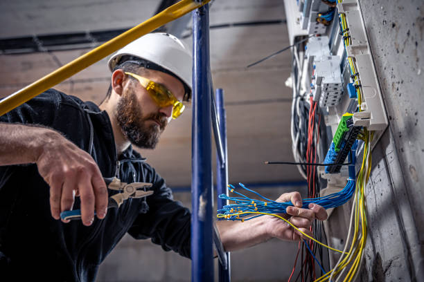 Best Electrical System Inspection  in , LA